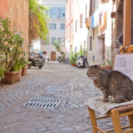 La Bonosa Daire Roma Dış mekan fotoğraf